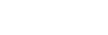 light logo