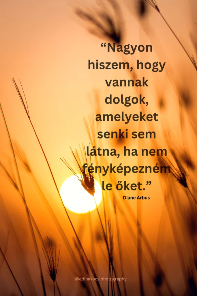 Fotós Idézet