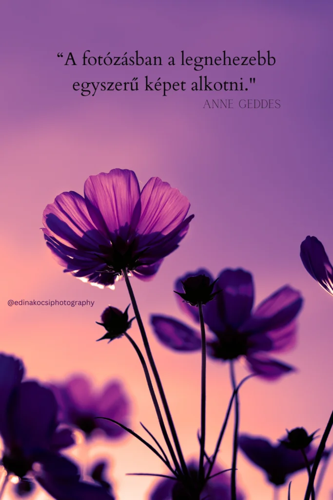 Fotós Idézet