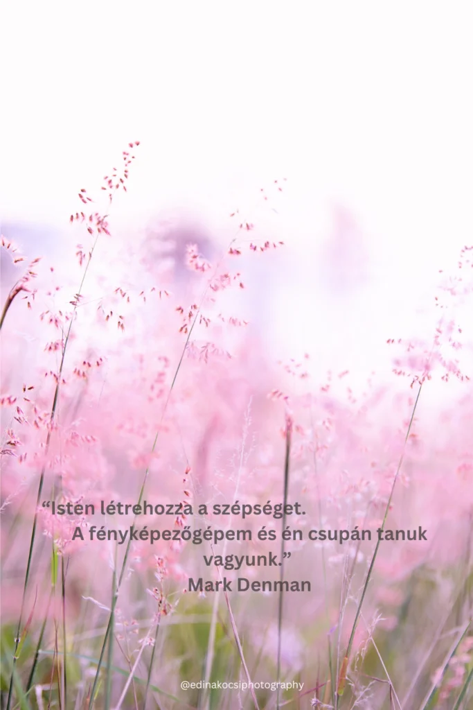 Fotós Idézet